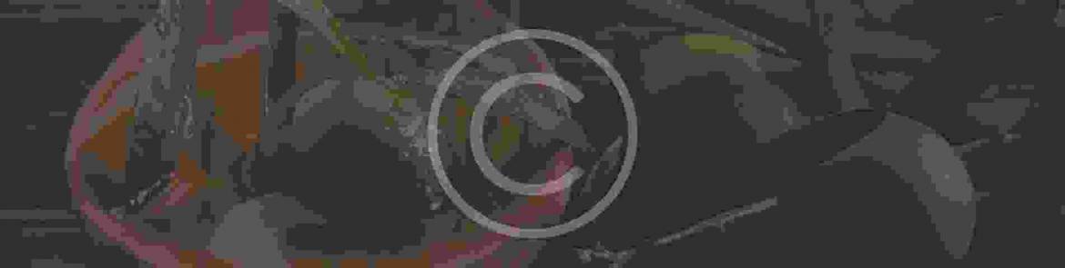 background-1.jpg